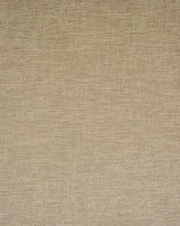 Greenhouse F1901 by  Greenhouse Fabrics 