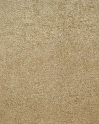 Greenhouse F1922 by  Greenhouse Fabrics 