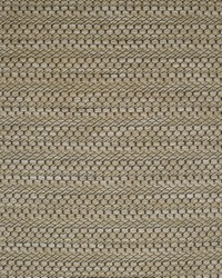 Greenhouse F1927 by  Greenhouse Fabrics 