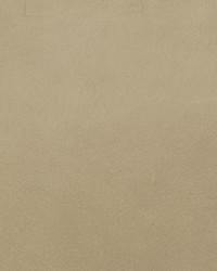 Greenhouse F2040 by  Greenhouse Fabrics 