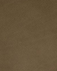 Greenhouse F2042 by  Greenhouse Fabrics 