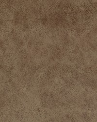 Greenhouse F2043 by  Greenhouse Fabrics 