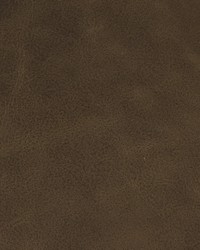 Greenhouse F2046 by  Greenhouse Fabrics 