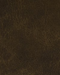 Greenhouse F2047 by  Greenhouse Fabrics 