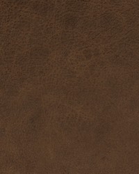 Greenhouse F2053 by  Greenhouse Fabrics 