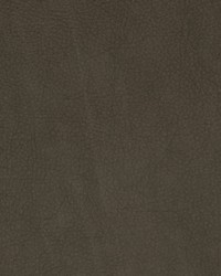 Greenhouse F2062 by  Greenhouse Fabrics 