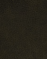 Greenhouse F2065 by  Greenhouse Fabrics 