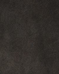 Greenhouse F2067 by  Greenhouse Fabrics 