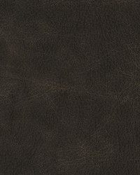 Greenhouse F2070 by  Greenhouse Fabrics 