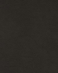 Greenhouse F2072 by  Greenhouse Fabrics 