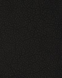 Greenhouse F2076 by  Greenhouse Fabrics 