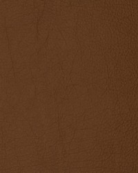 Greenhouse F2080 by  Greenhouse Fabrics 