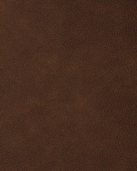 Greenhouse F2083 by  Greenhouse Fabrics 