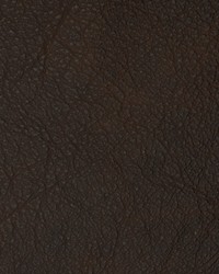 Greenhouse F2099 by  Greenhouse Fabrics 