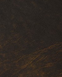 Greenhouse F2101 by  Greenhouse Fabrics 