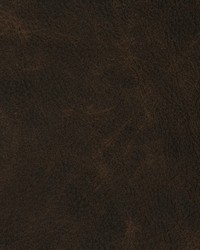 Greenhouse F2102 by  Greenhouse Fabrics 