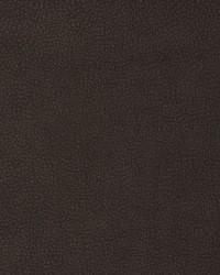 Greenhouse F2104 by  Greenhouse Fabrics 