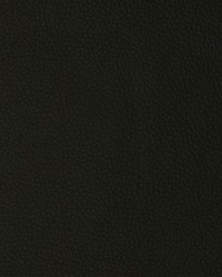 Greenhouse F2110 by  Greenhouse Fabrics 