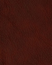 Greenhouse F2111 by  Greenhouse Fabrics 