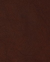 Greenhouse F2112 by  Greenhouse Fabrics 