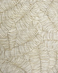 Greenhouse F2138 by  Greenhouse Fabrics 