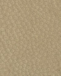 Greenhouse F2158 by  Greenhouse Fabrics 