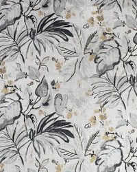 Greenhouse F2192 by  Greenhouse Fabrics 