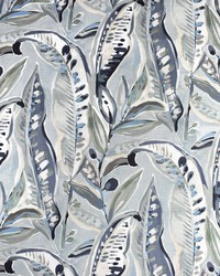 Greenhouse F2282 by  Greenhouse Fabrics 