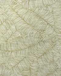 Greenhouse F2354 by  Greenhouse Fabrics 