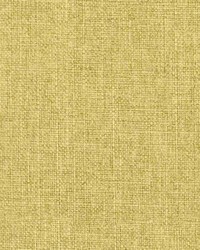 Greenhouse F2364 by  Greenhouse Fabrics 