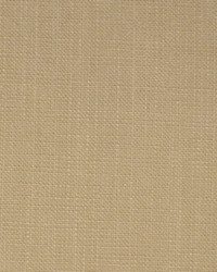 Greenhouse F2527 by  Greenhouse Fabrics 