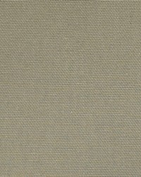 Greenhouse F2533 by  Greenhouse Fabrics 