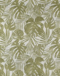 Greenhouse F2814 by  Greenhouse Fabrics 