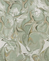 Greenhouse F2824 by  Greenhouse Fabrics 