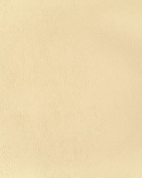 Greenhouse F2865 by  Greenhouse Fabrics 