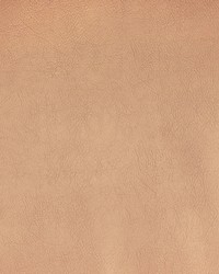 Greenhouse F2867 by  Greenhouse Fabrics 