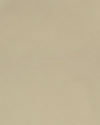 Greenhouse F2869 by  Greenhouse Fabrics 