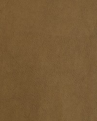 Greenhouse F2872 by  Greenhouse Fabrics 