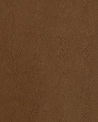 Greenhouse F2873 by  Greenhouse Fabrics 