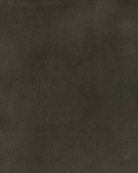 Greenhouse F2880 by  Greenhouse Fabrics 