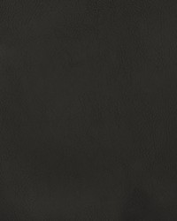 Greenhouse F2881 by  Greenhouse Fabrics 