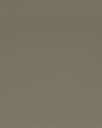 Greenhouse F2884 by  Greenhouse Fabrics 