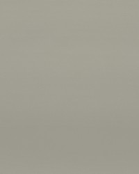 Greenhouse F2885 by  Greenhouse Fabrics 