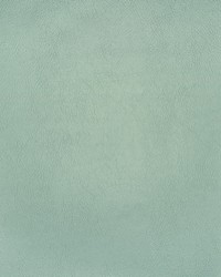 Greenhouse F2886 by  Greenhouse Fabrics 