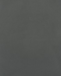 Greenhouse F2889 by  Greenhouse Fabrics 