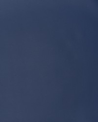 Greenhouse F2892 by  Greenhouse Fabrics 