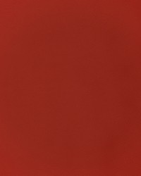 Greenhouse F2894 by  Greenhouse Fabrics 