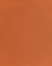 Greenhouse F2896 by  Greenhouse Fabrics 