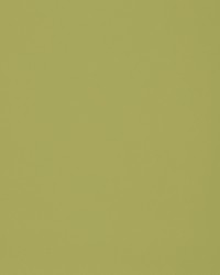 Greenhouse F2899 by  Greenhouse Fabrics 