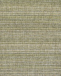 Greenhouse F2999 by  Greenhouse Fabrics 